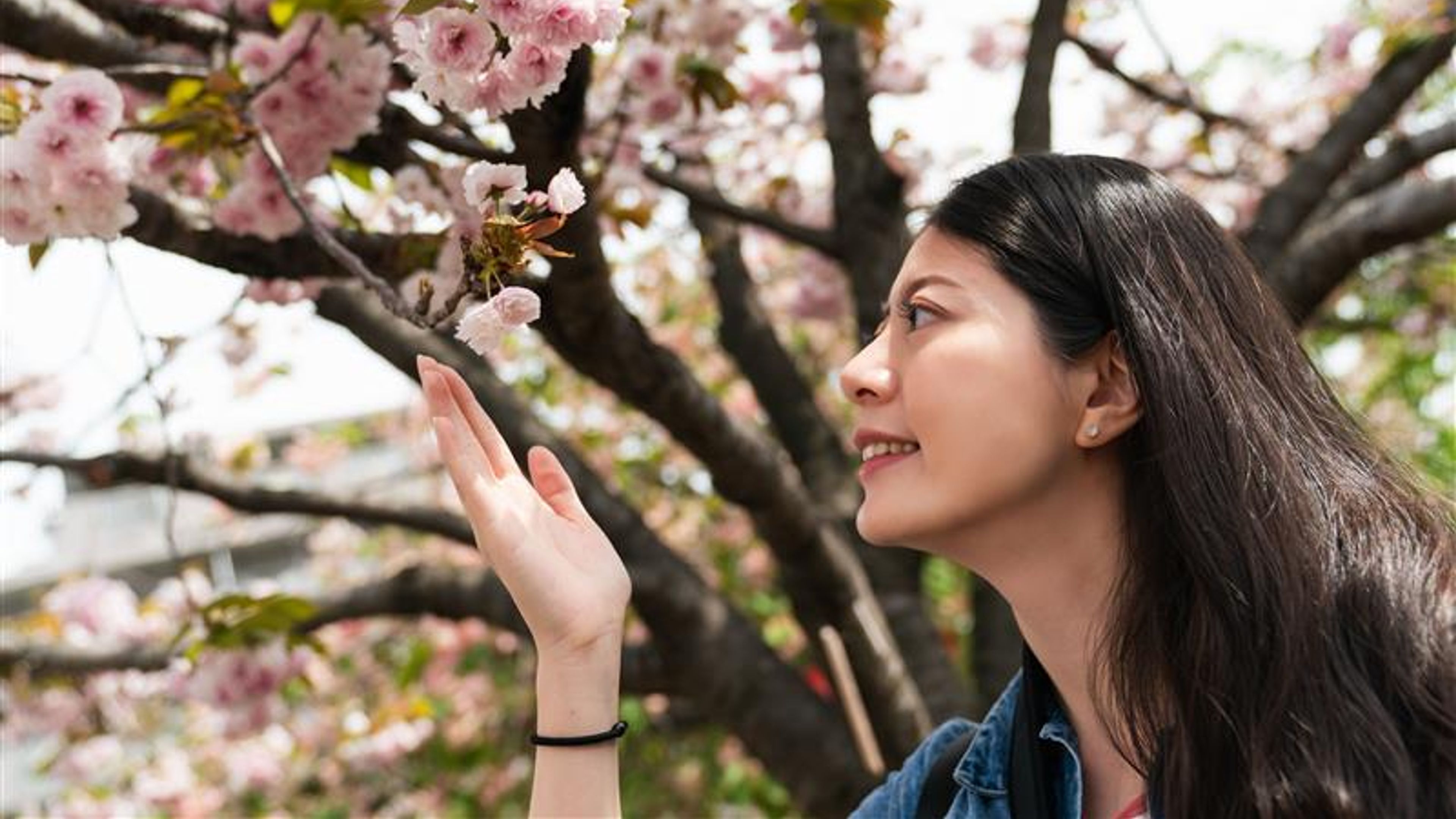 A woman looking at a flower tree
