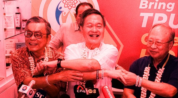 Singaporeans Criticize PSP Chairman Dr Tan Cheng Bock for Endorsing Controversial Presidential Candidate Tan Kin Lian