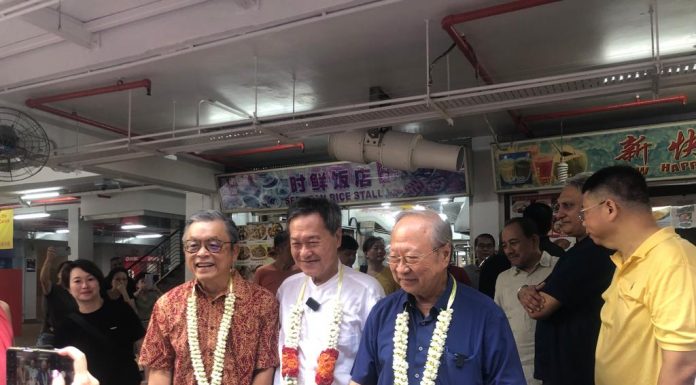 Breaking: Dr Tan Cheng Bock endorses presidential hopeful Tan Kin Lian